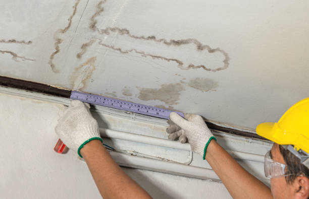 Affordable Water Damage Repair solutions in Evansport, OH